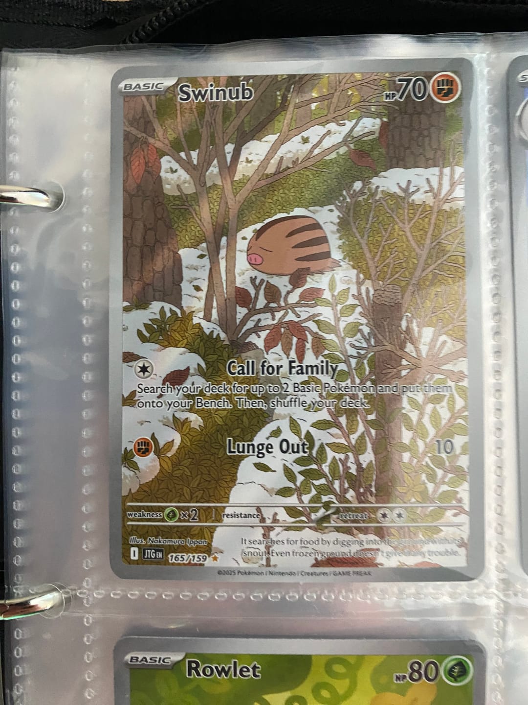 Customer photo review of Pokemon TCG Swinub 165/159- Journey Together