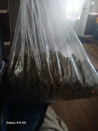 Boutique Exotics Obama Runtz - Bulk - Hybrid photo review