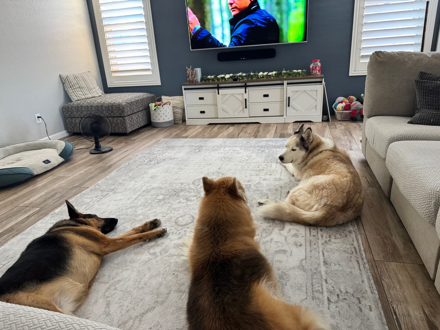 Customer photo review of Designer Relax Mat - 1.4" Thick Foam Base