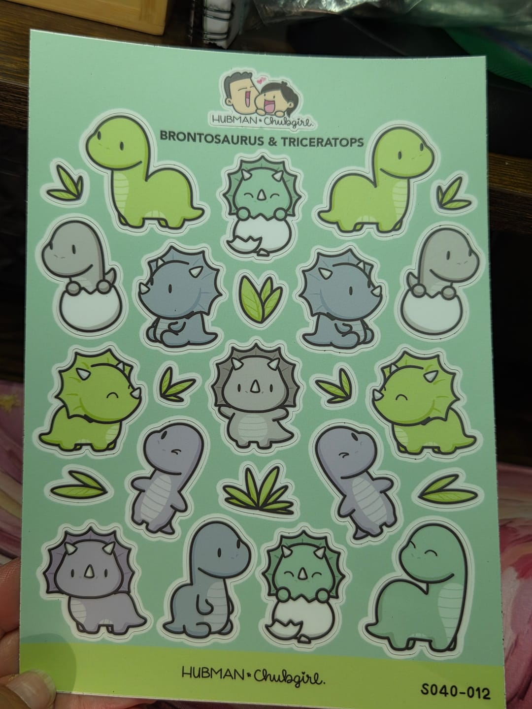 Customer photo review of Sticker Sheet - Brontosaurus & Triceratops