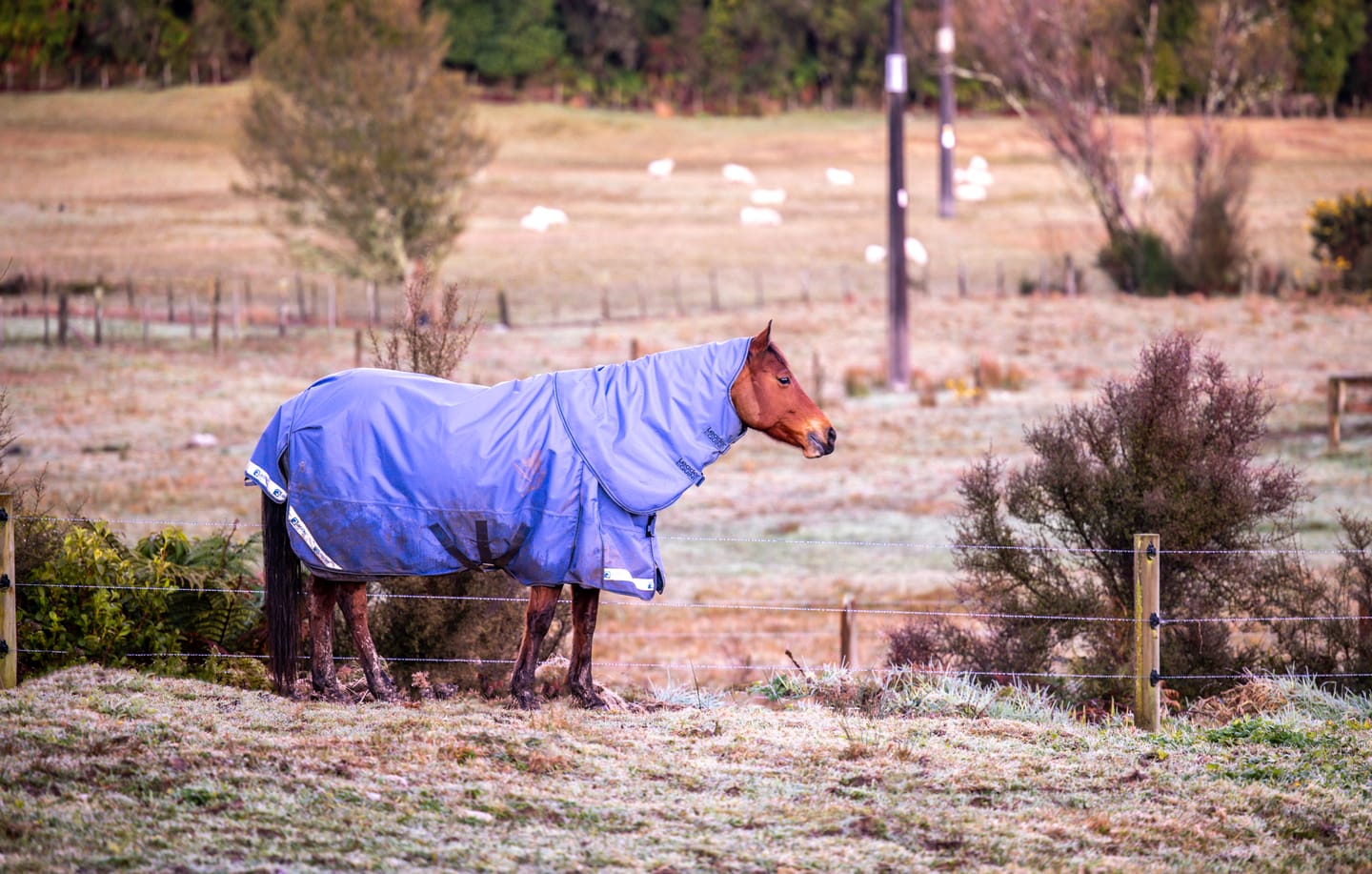 Customer photo review of LE Boxter Turnout Ripstop 50g
