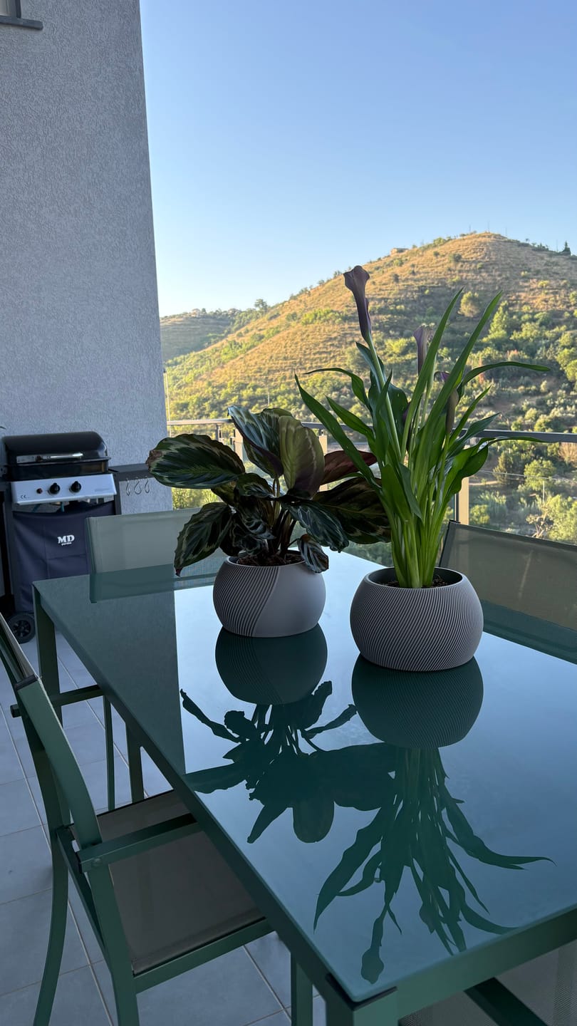 Customer photo review of Vaso Grassa Mezzaluna