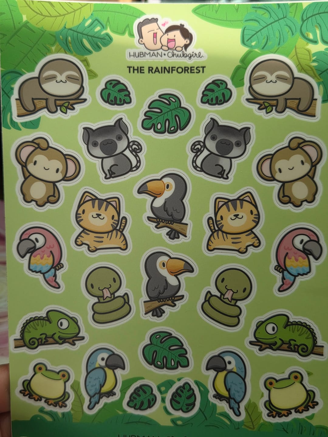 Customer photo review of The Rainforest Sticker Sheet