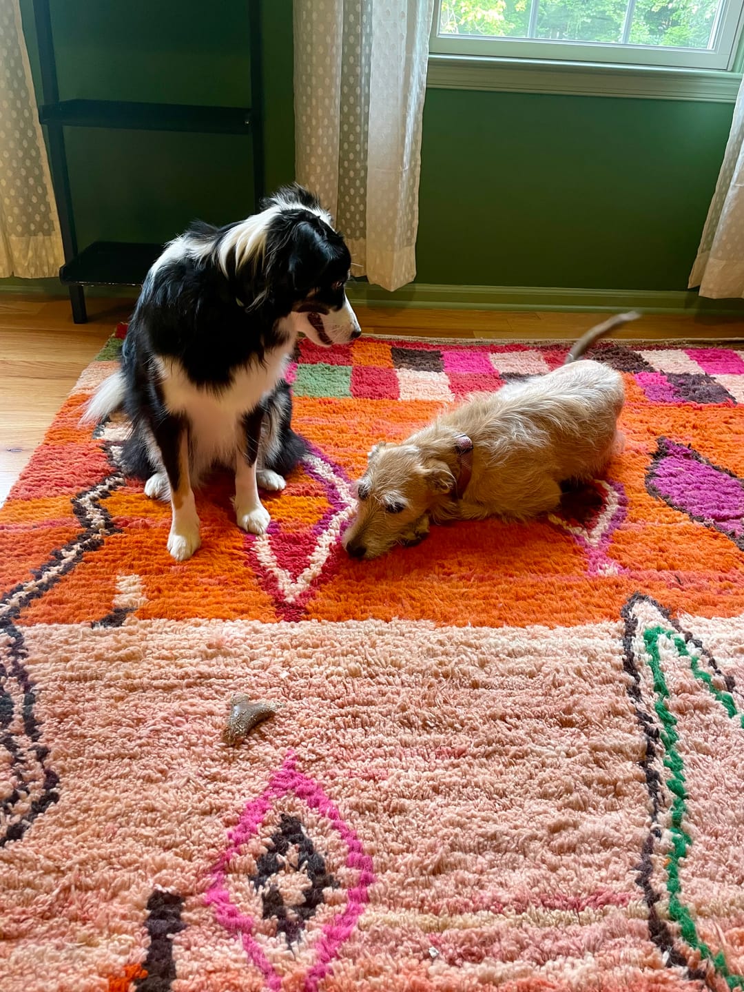 Customer photo review of Wahlee - Orange & Peach 6x9  Berber Boujad Moroccan Rug | Authentic handmade Moroccan Carpet | 6'59x9'94 Ft | 201x303 cm