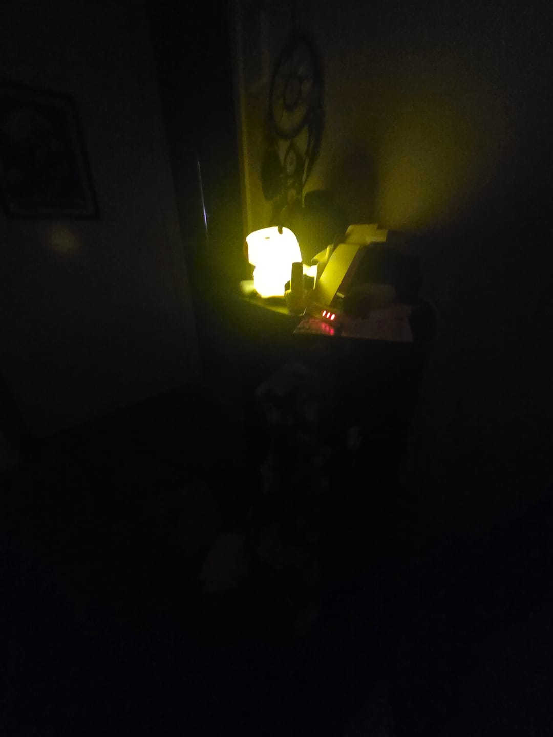 Customer photo review of MeWaii® Capybara Squishy Night Light - Perfect Gift 🎁