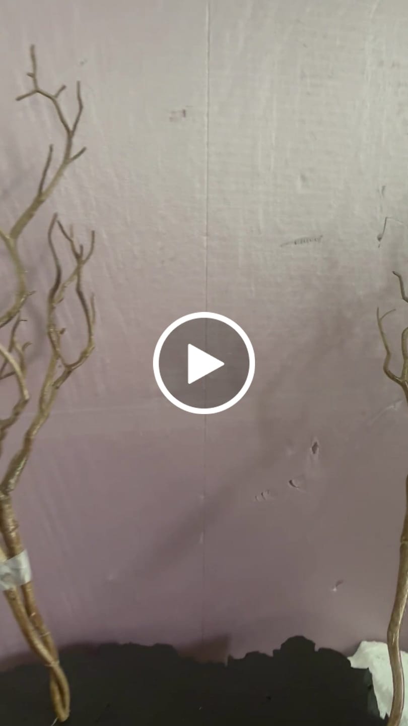 Customer video review of Bulk 2025 Upgraded Halloween Decoration Manzanita Branches Plant Twigs for Table Centerpieces Wholesale