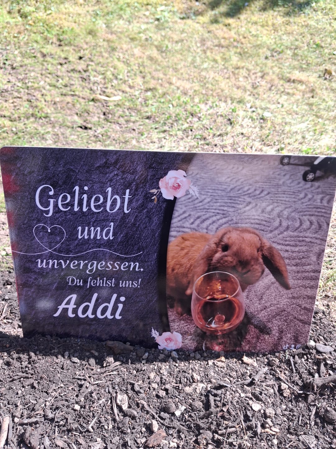 Customer photo review of Kaninchen Gedenktafel mit Foto & Spruch (UV- & Wetterfest)