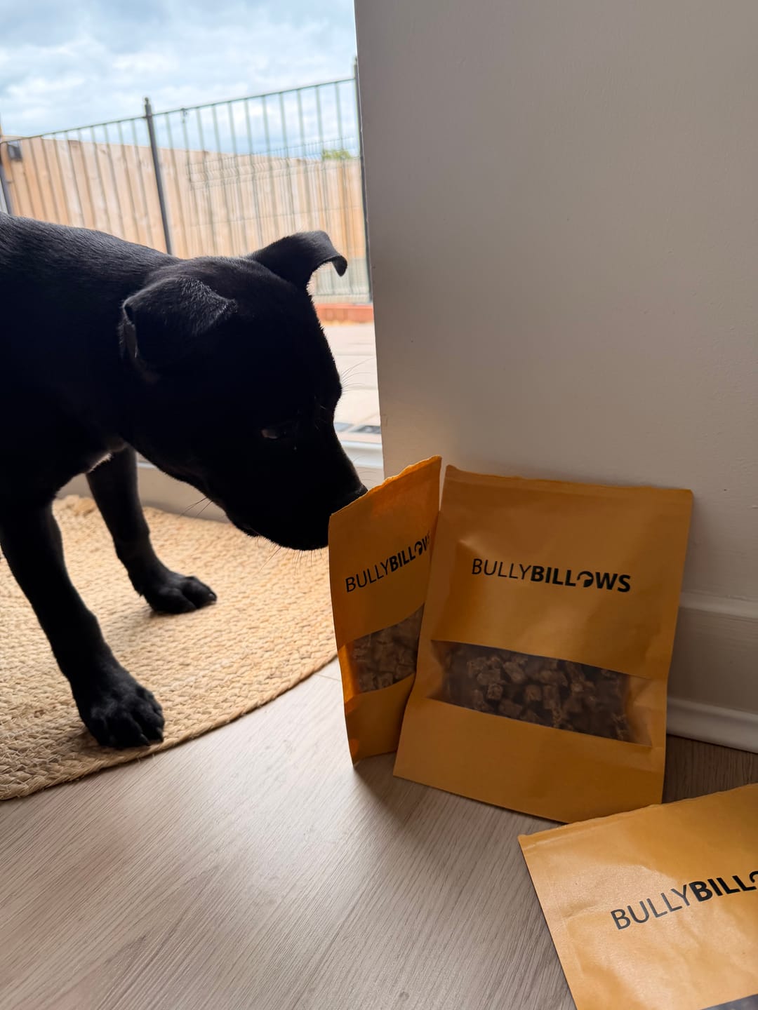 Customer photo review of Dog Training Treats - Venison - 100g