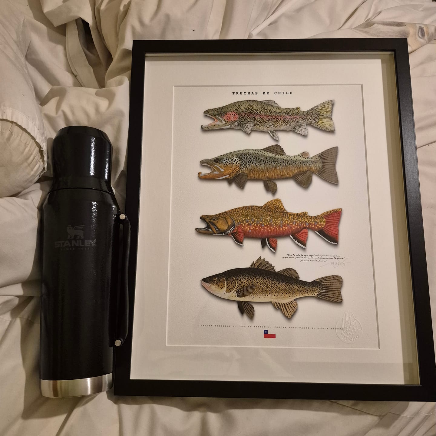 Customer photo review of Mate System Ideal Hammertone Black | 1.2 lt