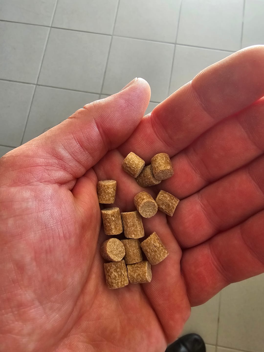 Customer photo review of PREMIUM CARP PELLETS - ALLTECH COPPENS