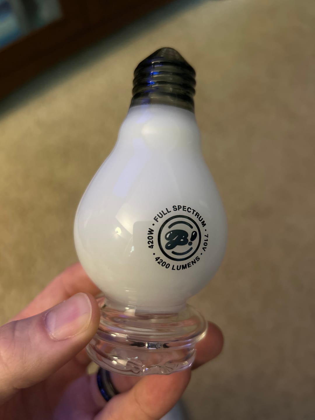 Customer photo review of Lightbowlb Peak Top