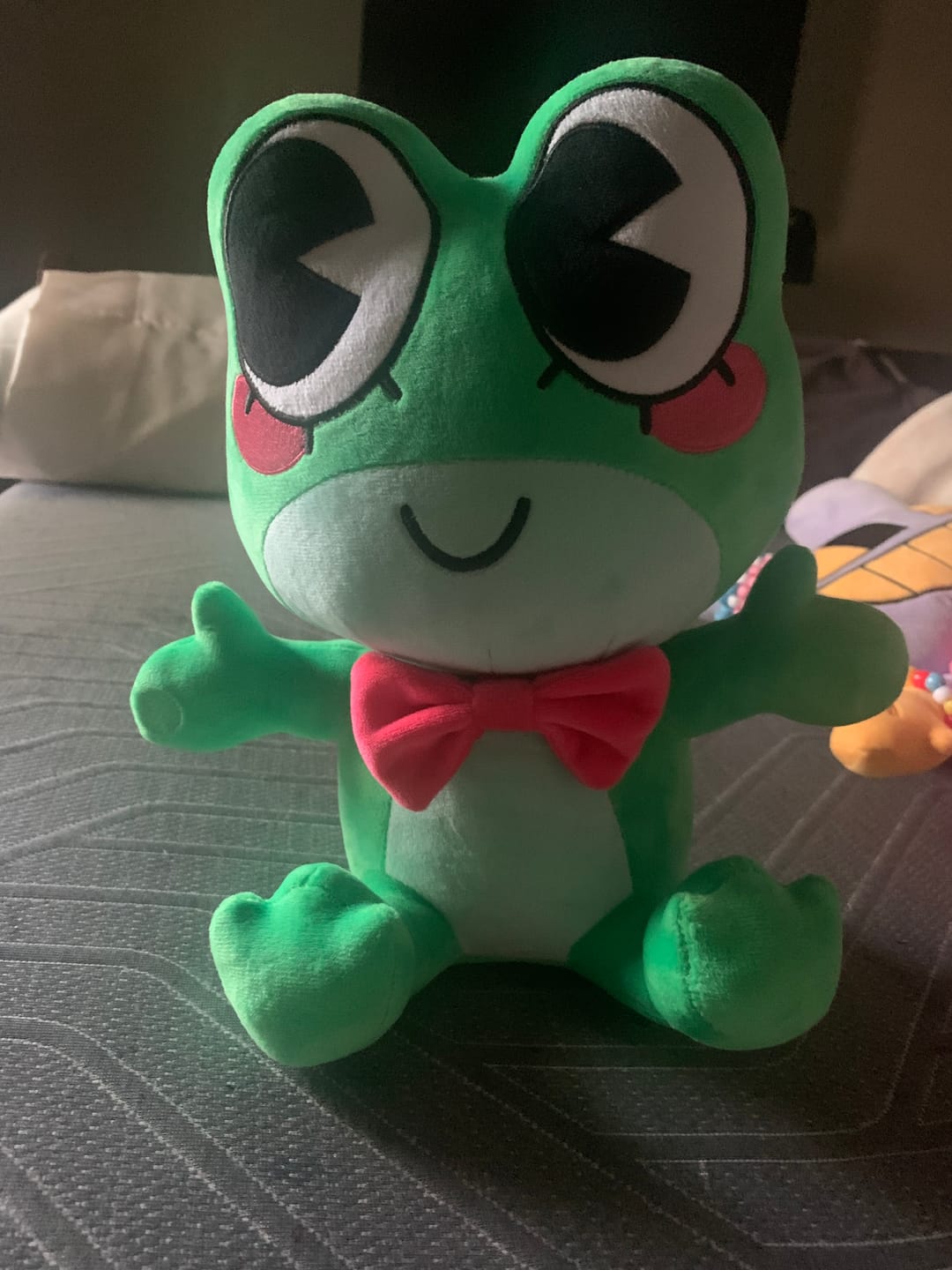 Customer photo review of Ribbit Plush
