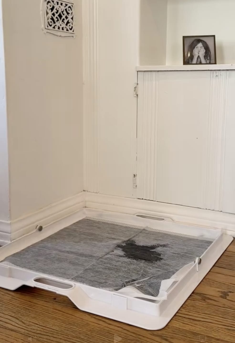 Customer photo review of Pee PAWD® Pee Pad holder
