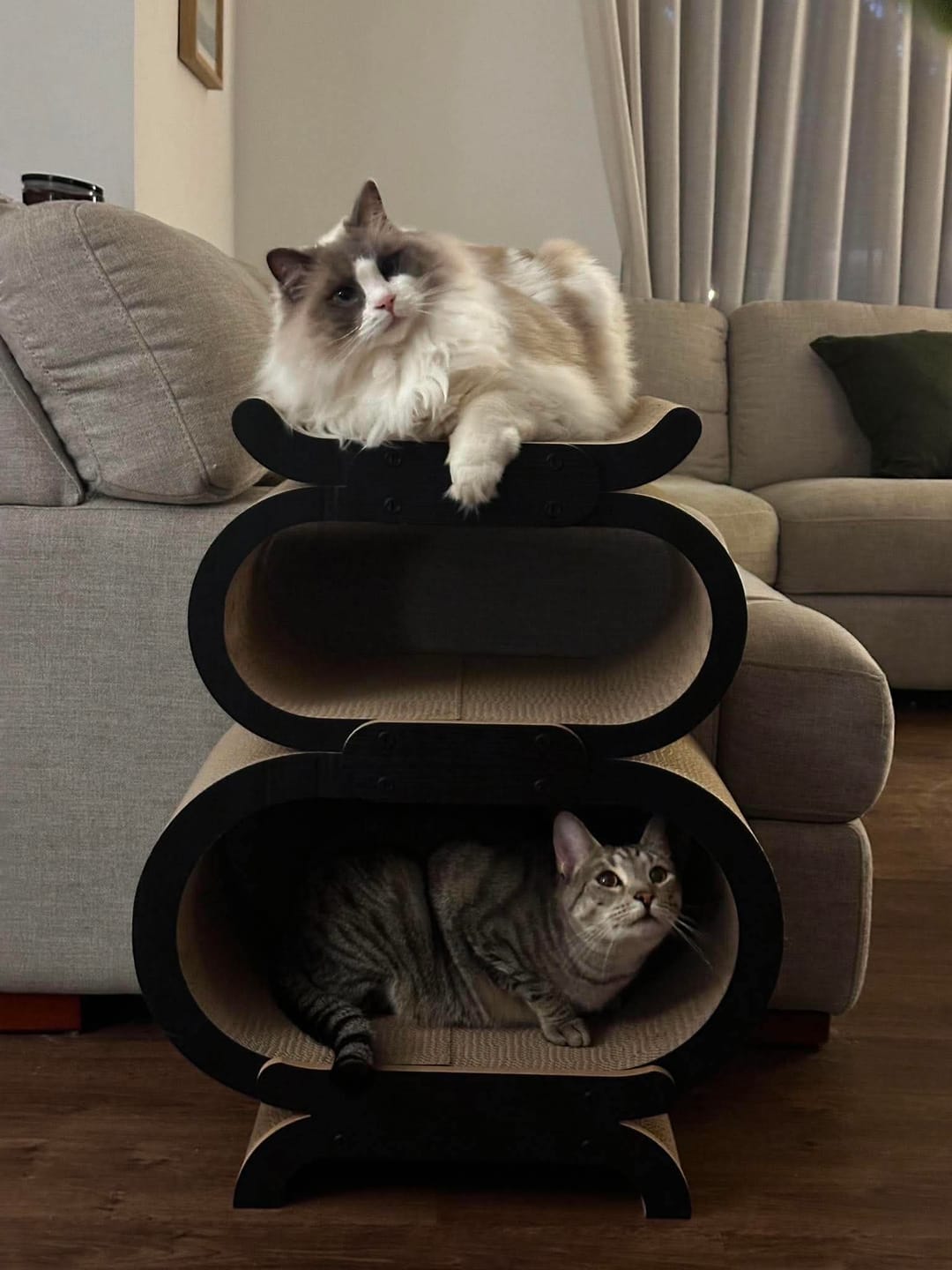Customer photo review of Archway Stackable Cat Scratcher Lounge