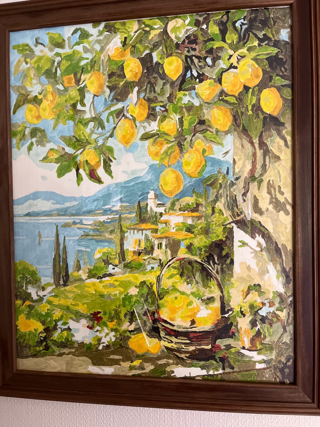 Customer photo review of Paint by Numbers - Lemon Still Life in Blue Garden