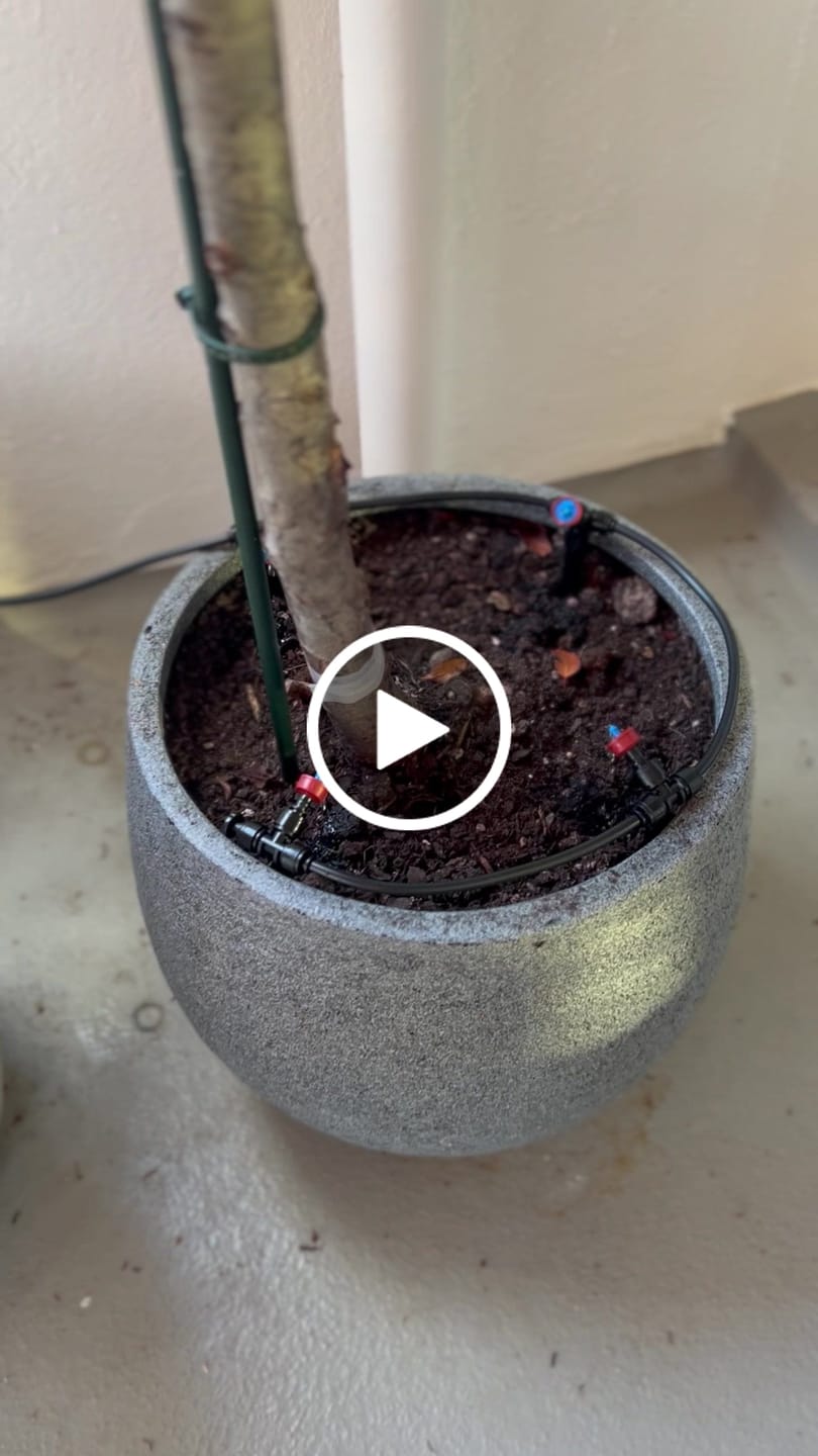 Customer video review of Boum Drip Tröpfchenbewässerung (ohne Tank)