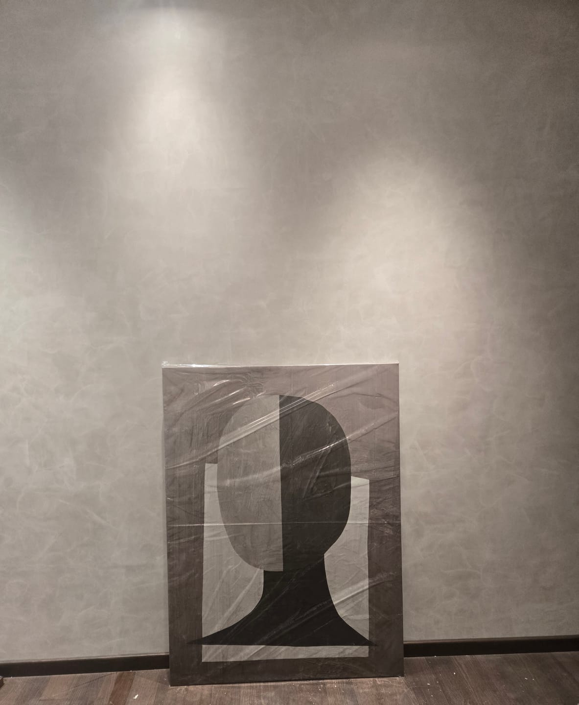 Customer photo review of Study Wall Art Poster