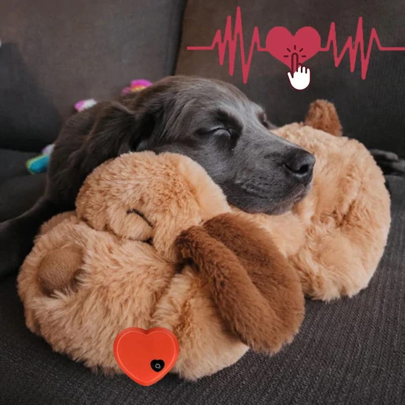 Customer photo review of Abbracciotto™ – Peluche Anti Ansia per Cani e Gatti