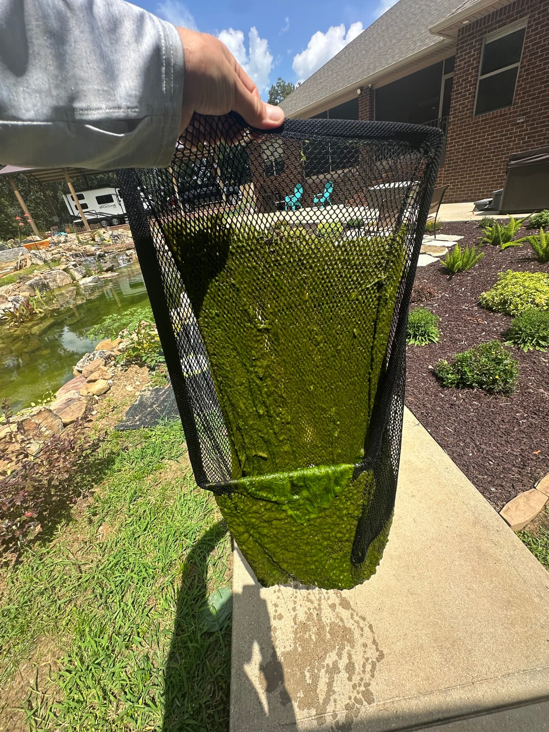 Customer photo review of Replacement Leaf Net for the Pelican HydroClean™ Pond Skimmer 15" x 12" x 20"