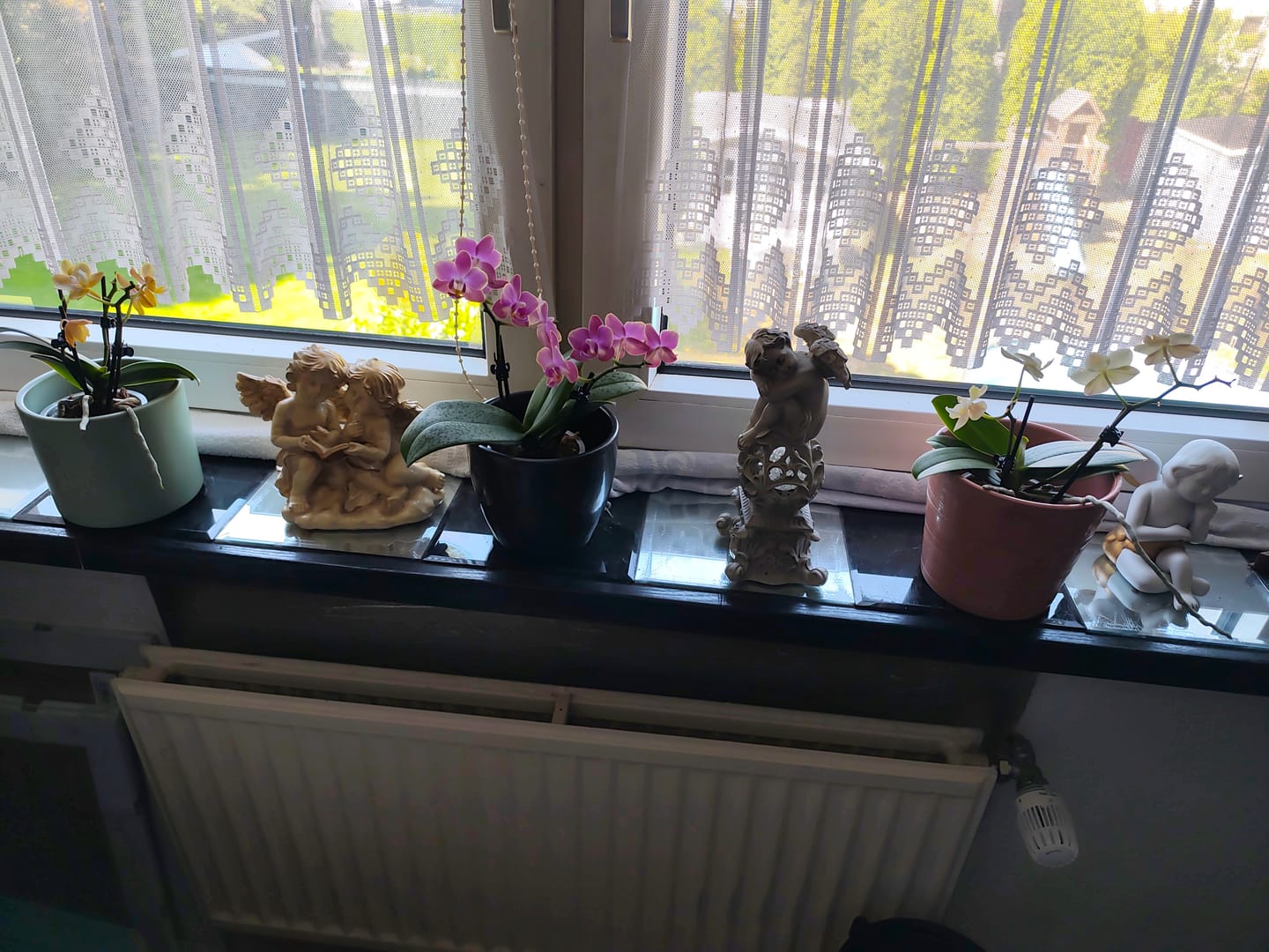 Customer photo review of Duftorchideen Table Dance im 3er Set mit 2 Rispen