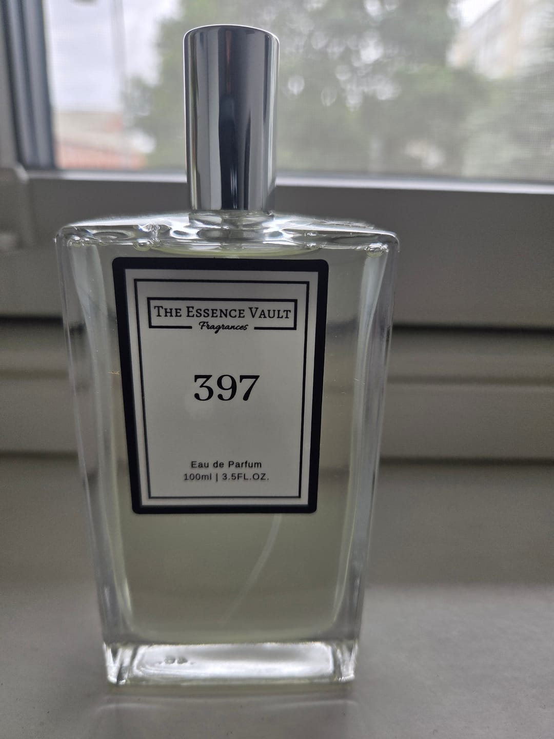 Customer photo review of Inspired By Imagination - 397