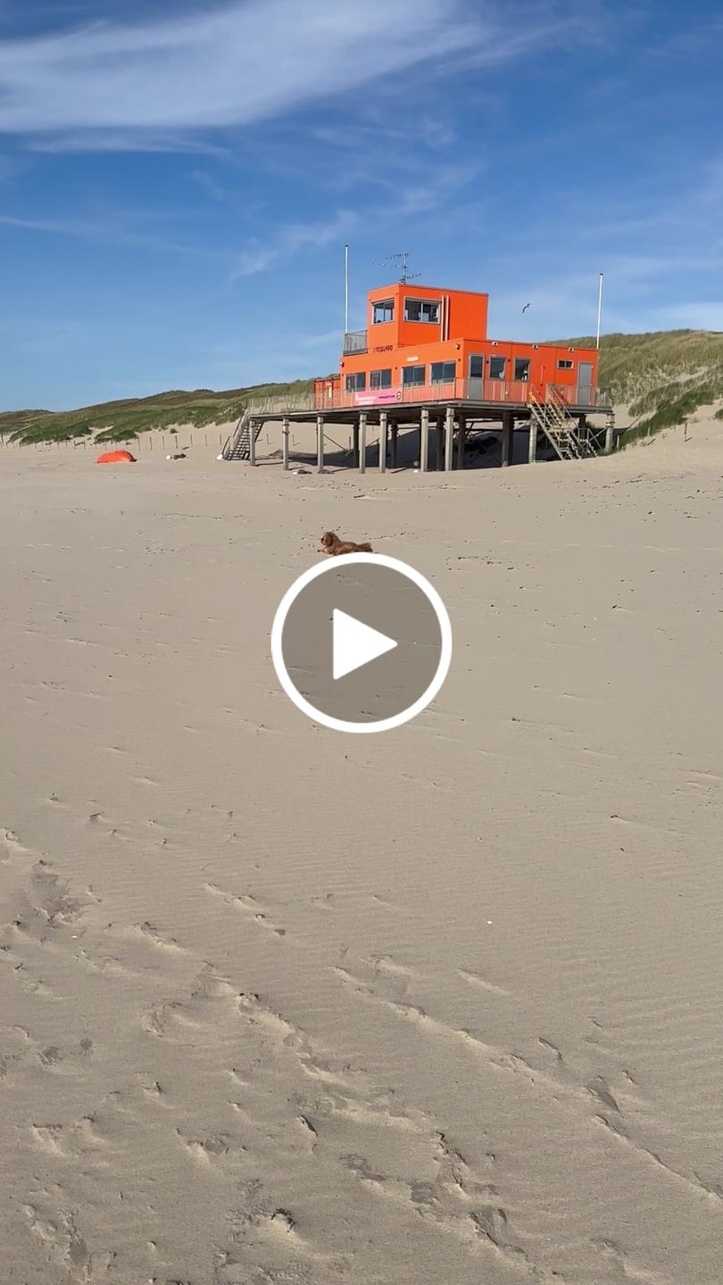 Customer video review of Wurmtest Basic Hund