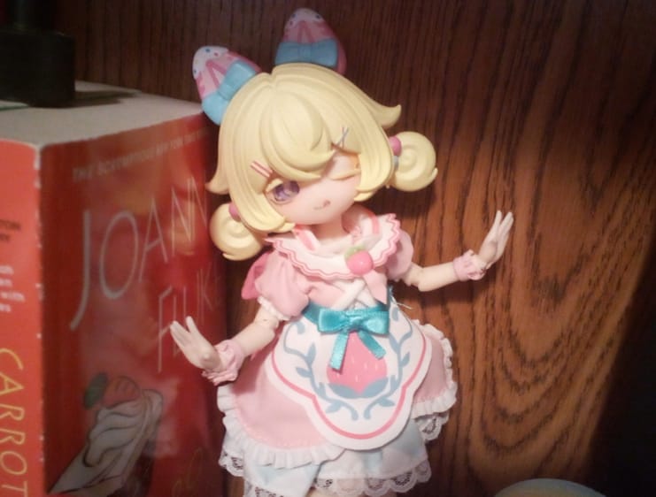 Customer photo review of Star Wish Maiden Adventure Series 1/8 Action Figure BJD Blind Box