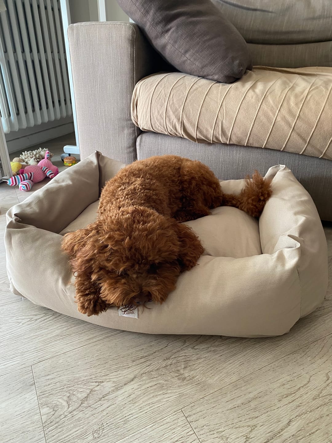 Customer photo review of Divanetto Cotone Siena Beige