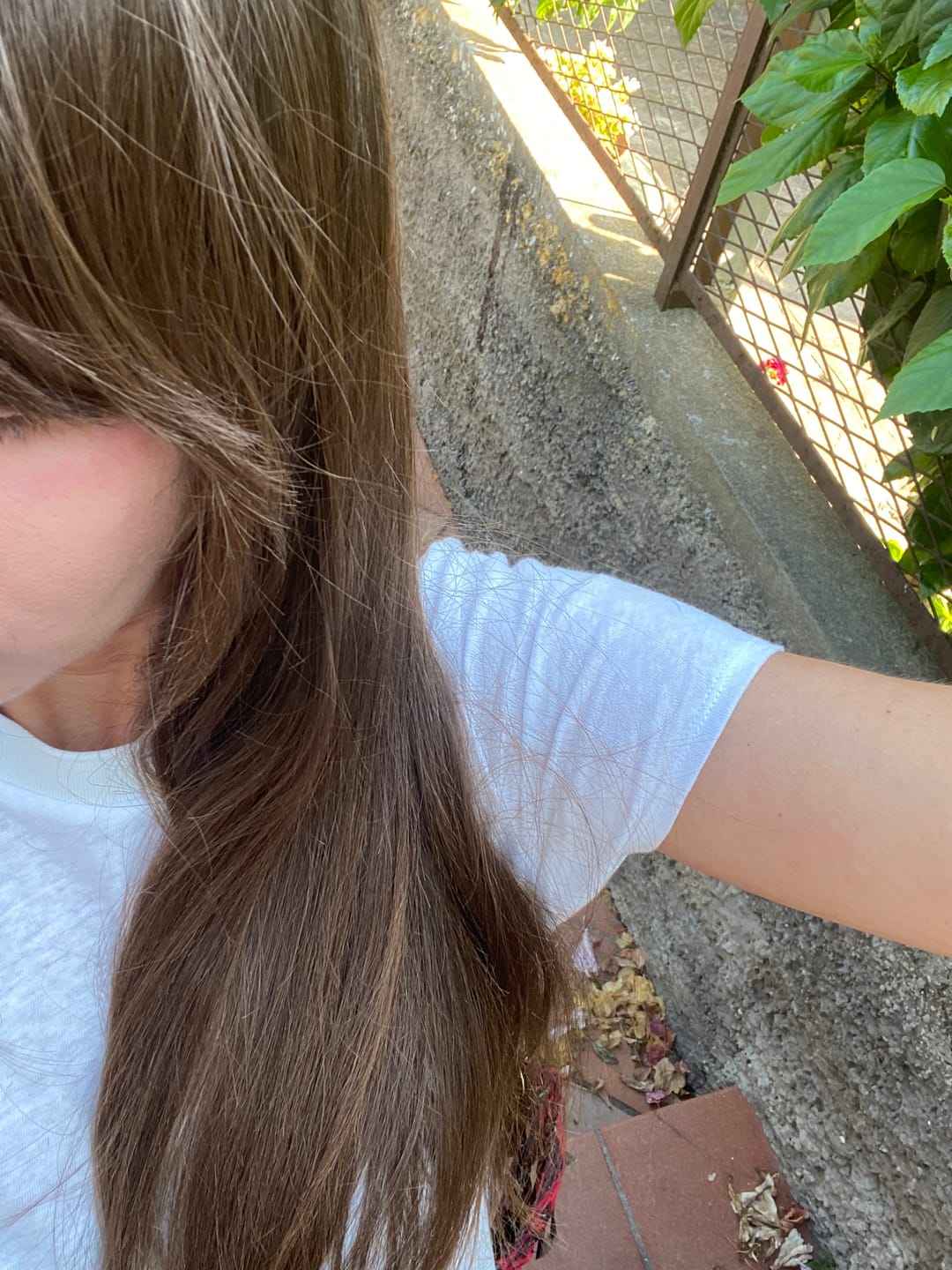 Customer photo review of Lamisè - Laminazione istantanea