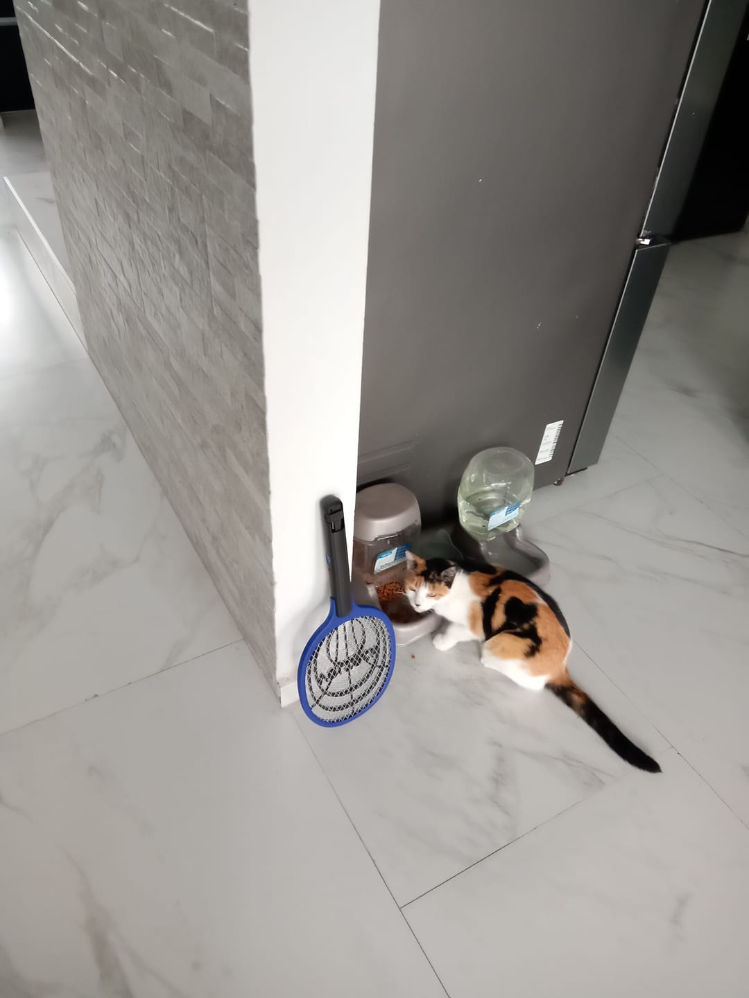 Customer photo review of Raqueta Exterminadora De Insectos Raq-35 Volteck