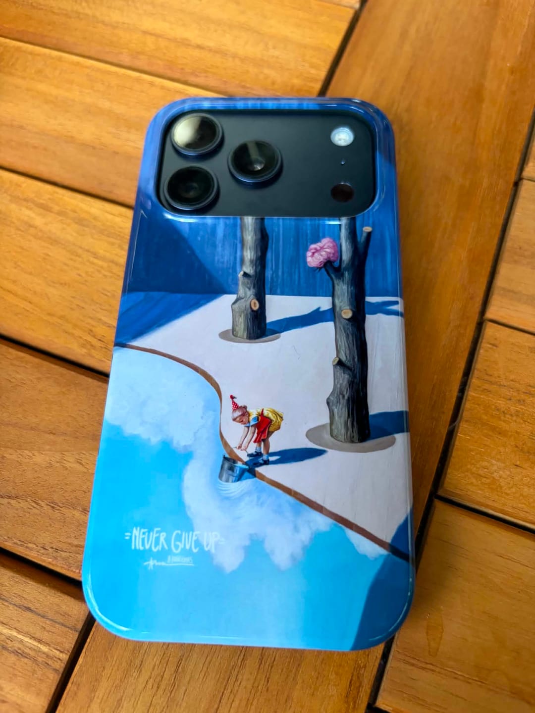 Customer photo review of Never Give Up