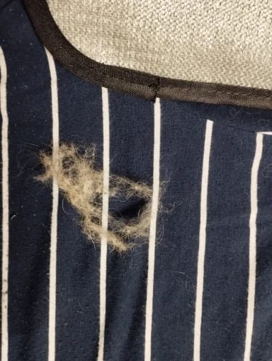 Customer photo review of Pet Hair Removal Glove