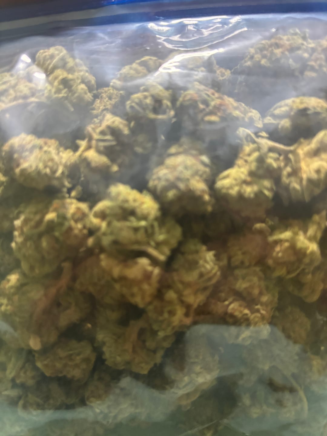 Customer photo review of Purple Punch - Bulk - Indica