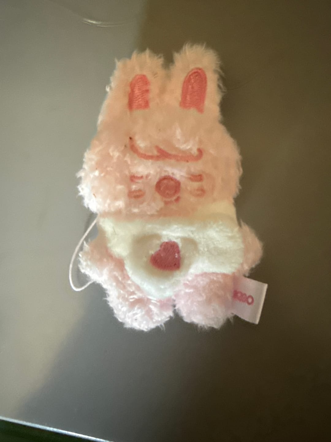Customer photo review of [PRE-ORDER] STRAY KIDS - [STAY in Our Little House] SKZOO SECRET PLUSH MICRO Ver