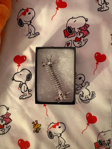 Customer's silver Centipede Hairclip resting inside a black box on a patterned Snoopy fabric background.