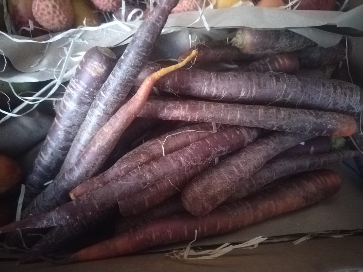 Customer photo review of Karotten "violett" Bio regional