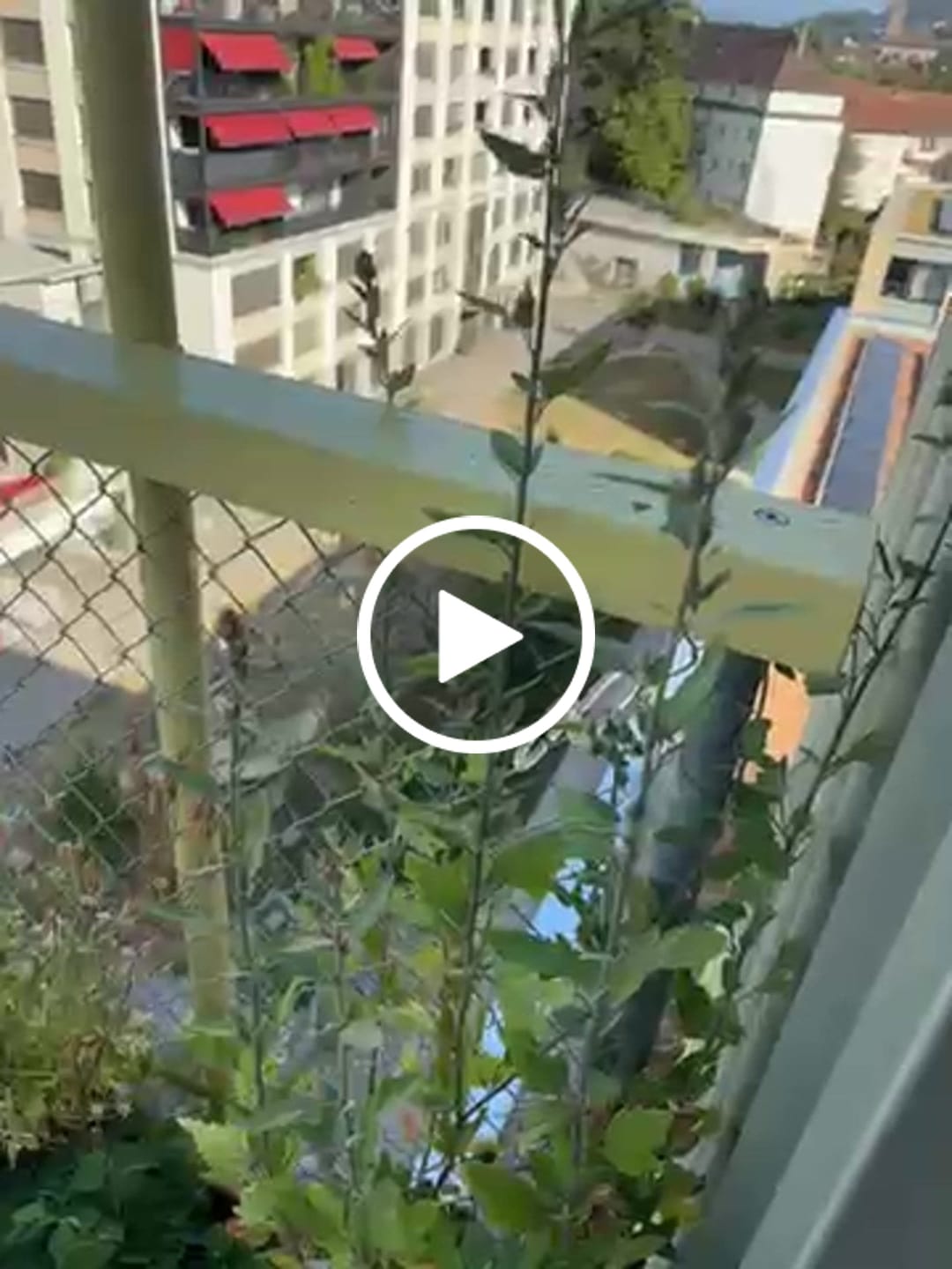 Customer video review of Boum App Premium Abo