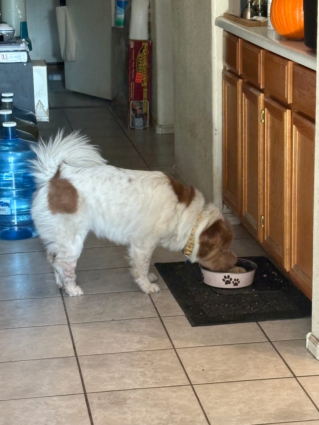 Customer photo review of Whole Grain Original Base Mix