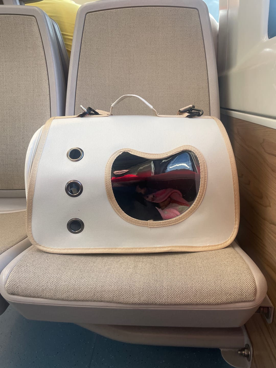 Customer photo review of CT4345 1 Pieza De Transportadora Para Mascota