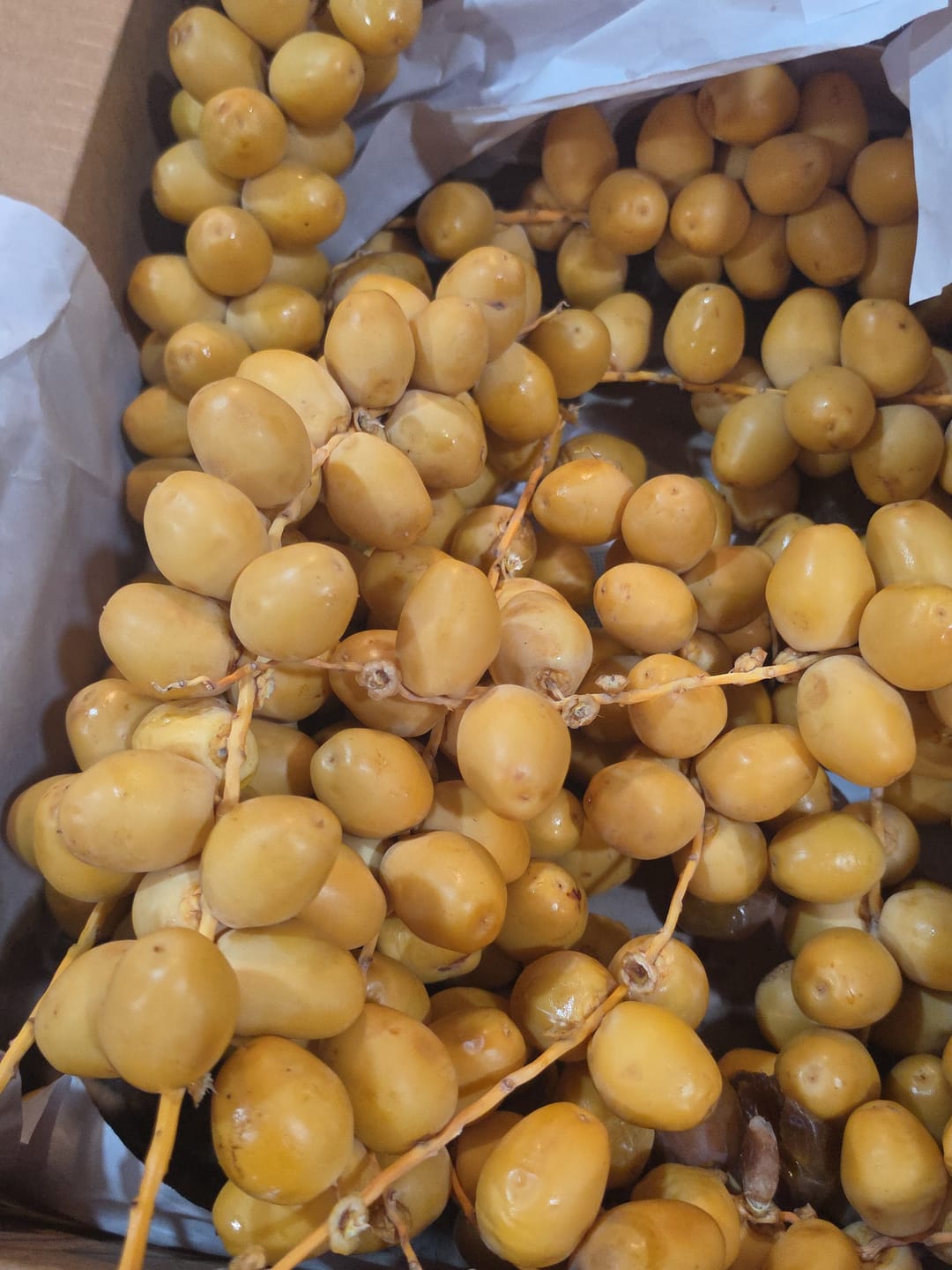 Customer photo review of Organic Yellow Barhi Dates (Khalal Barhi Dates)