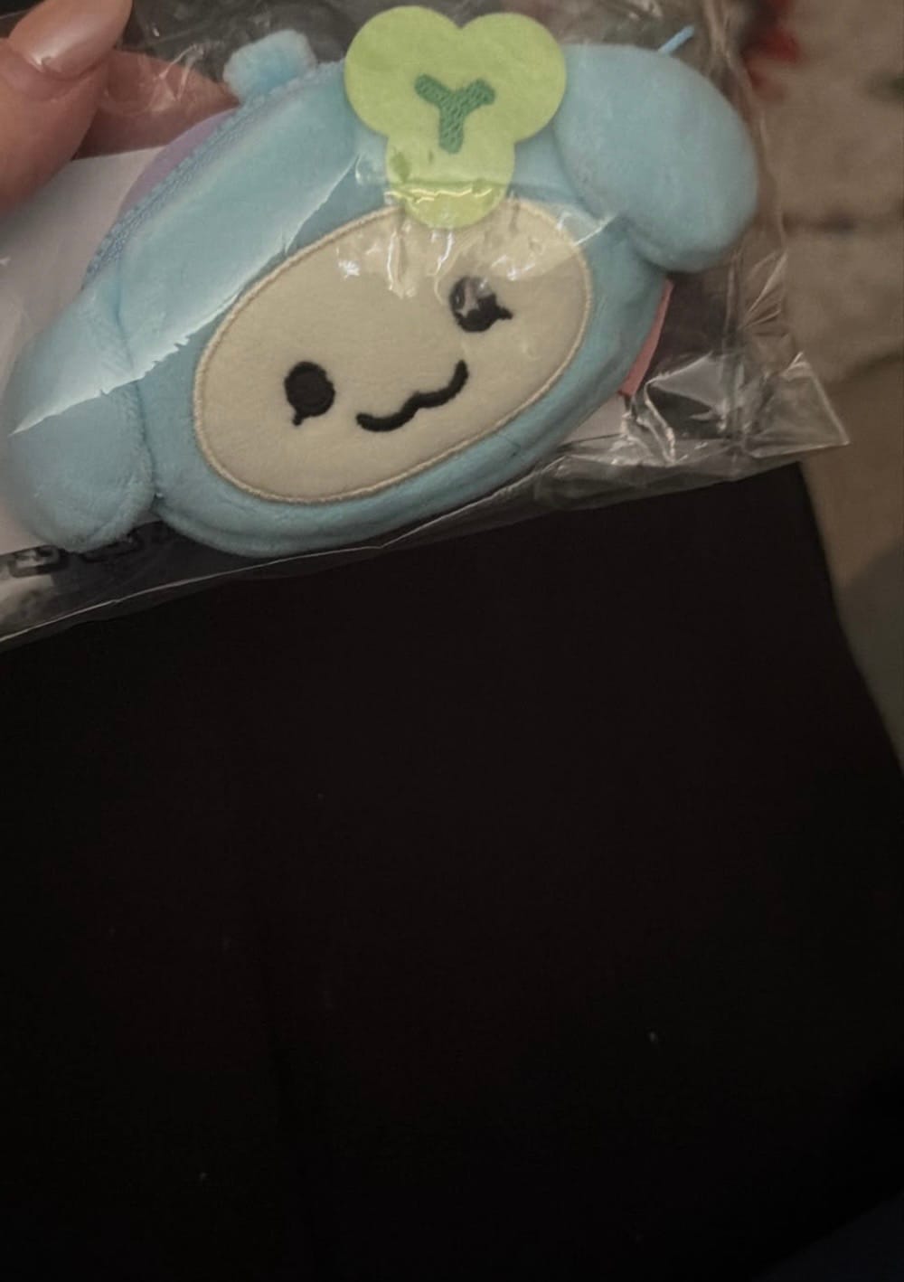 Customer photo review of ATEEZ - MIGHTEEZ MINI FACE POUCH