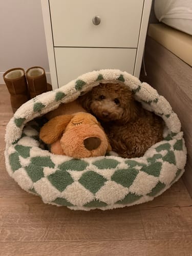Customer photo review of Peluche Antiestrés