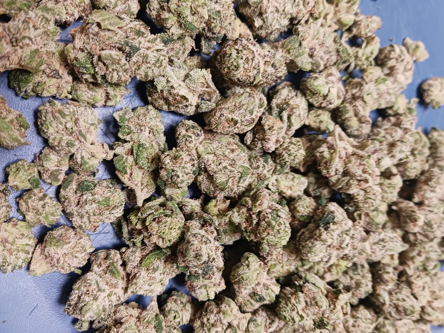 Customer photo review of Blueberry Smalls THCA Flower (Exotic)