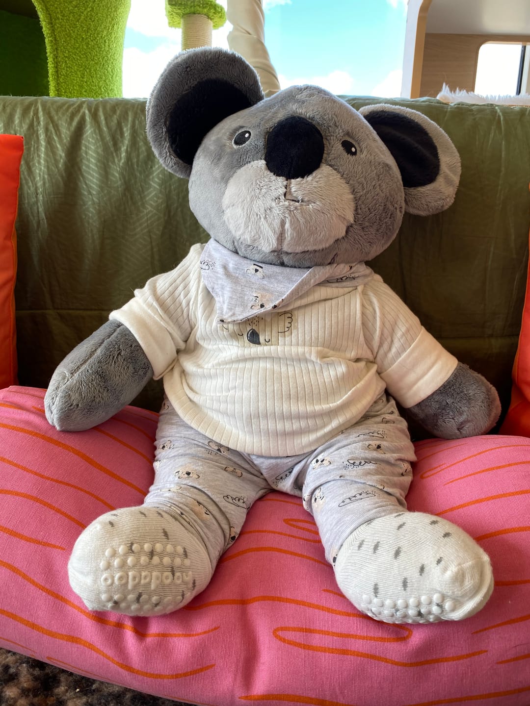 Customer photo review of Lotgenootje Koala 2kg