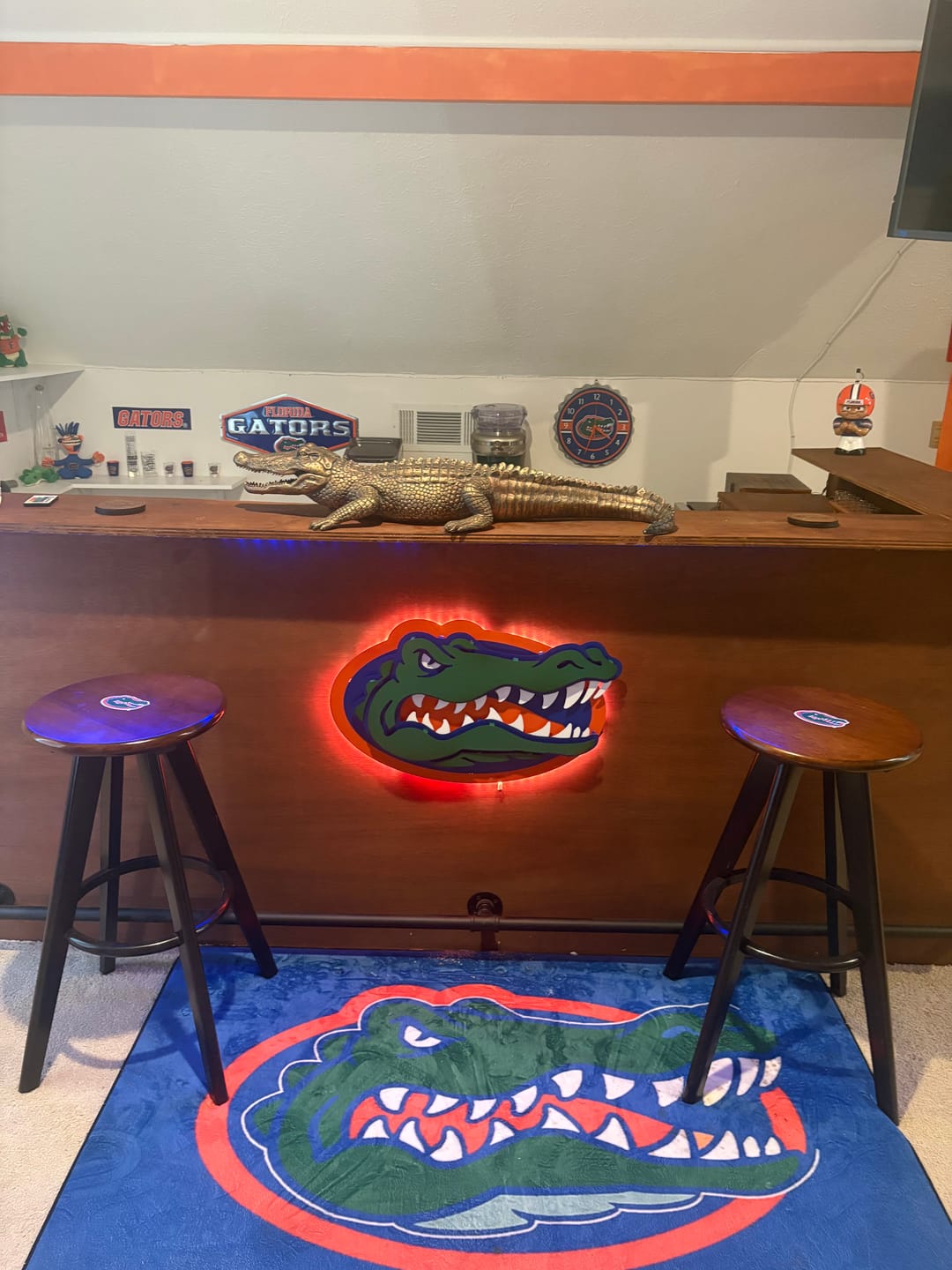 Customer photo review of Florida Gators "GATOR HEAD"  3D Vintage Metal Wall Art