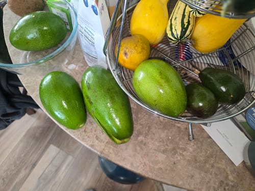 Customer photo review of Tropical Variety Box