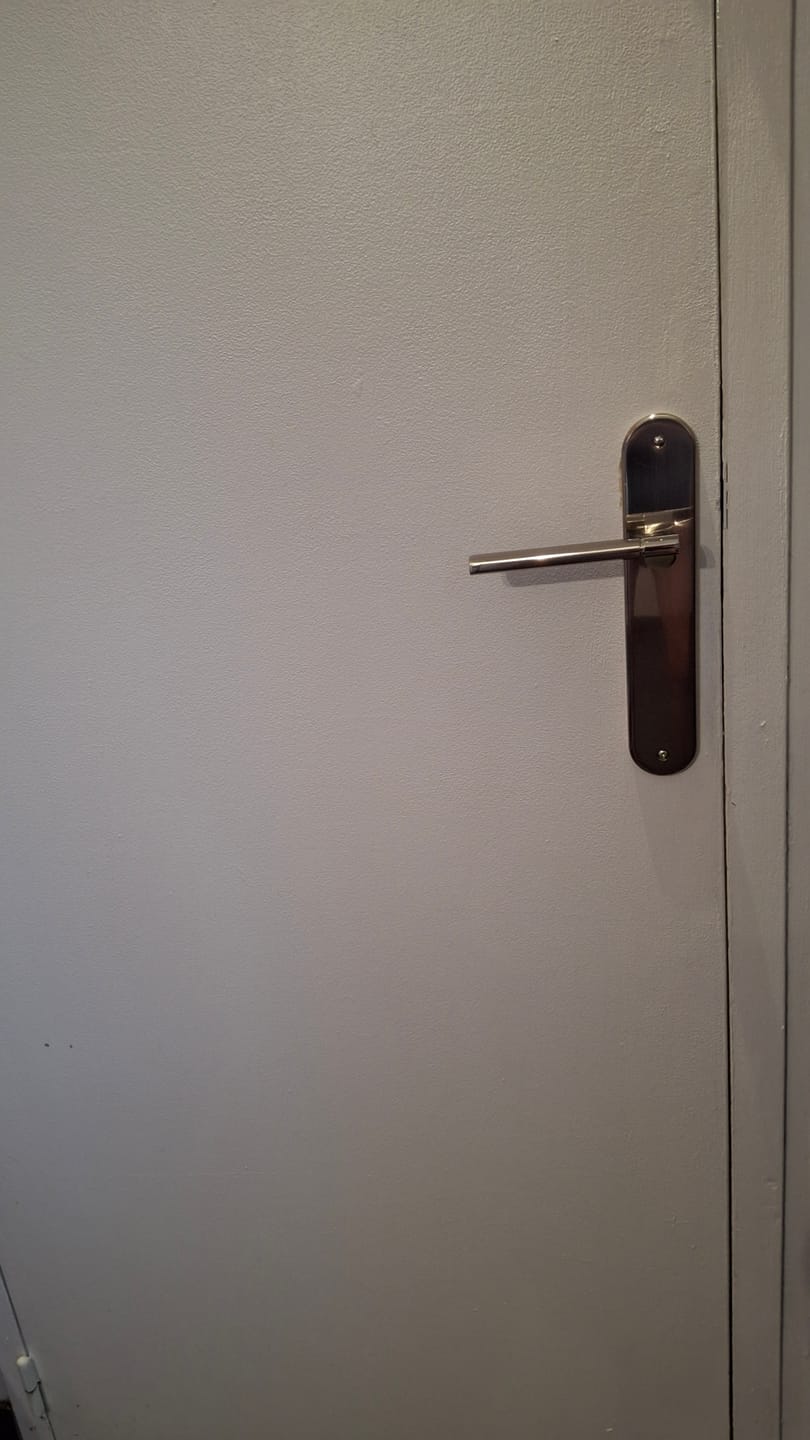Customer photo review of Manilla modelo '240' de zamak con placa ovalada acabado níquel combinado para puertas