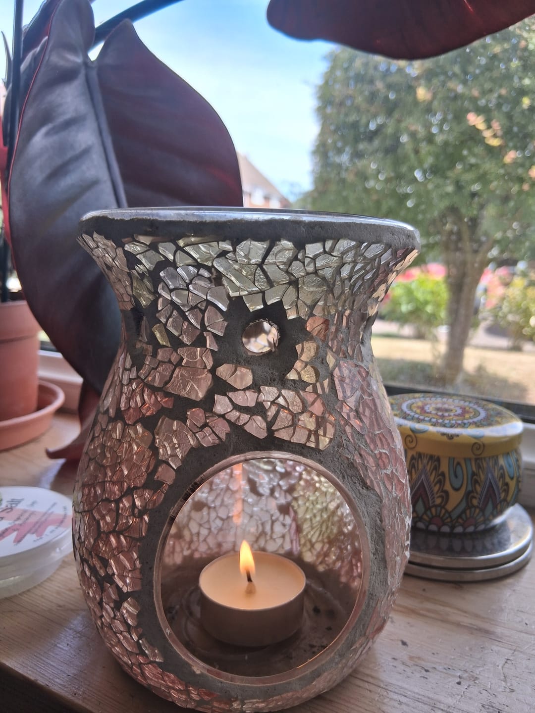 Customer photo review of Perfume Gel Melt Bundle