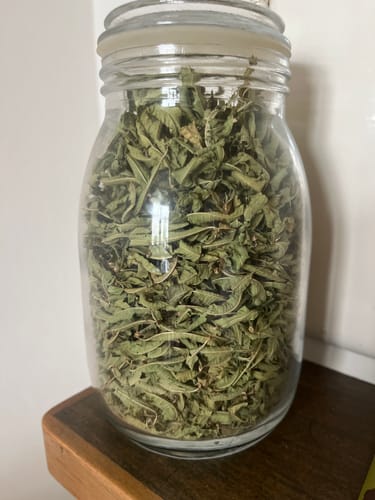 Kundenfoto des Verveine Blatt Ganz Tees in einem mit getrockneten Kräuterblättern gefüllten Glasgefäß.