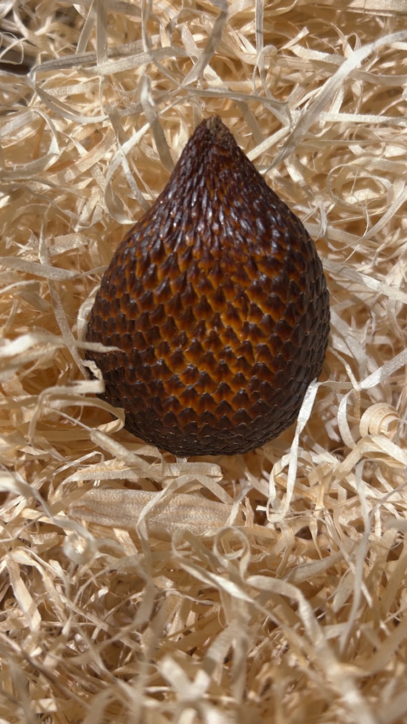 Customer photo review of Salak (Snakefruit) 1 Stk.
